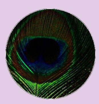 Feather Eyes Series Handmade Glass Cabochons Pattern Domed necklaces earrings phase box key chain for Jewelry