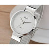 Miss Fox Silver Minimalist Watch Steel Slim Simple Style Ultra Thin Watch Waterproof-isodeals