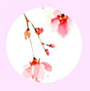 Mixed Round Symmetric Pattern Dome Vintage Jewelry Glass Cabochon  necklaces earrings phase box key chain