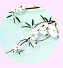 Mixed Round Symmetric Pattern Dome Vintage Jewelry Glass Cabochon  necklaces earrings phase box key chain