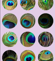 Feather Eyes Series Handmade Glass Cabochons Pattern Domed   necklaces earrings phase box key chain for Jewelry