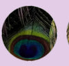 Feather Eyes Series Handmade Glass Cabochons Pattern Domed   necklaces earrings phase box key chain for Jewelry