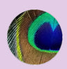 Feather Eyes Series Handmade Glass Cabochons Pattern Domed   necklaces earrings phase box key chain for Jewelry