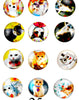 Mix Kawaii Image Transparent Flatback Photo Glass Cabochon for Jewelry Making necklaces earrings phase box key chain
