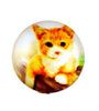 Mix Kawaii Image Transparent Flatback Photo Glass Cabochon for Jewelry Making necklaces earrings phase box key chain